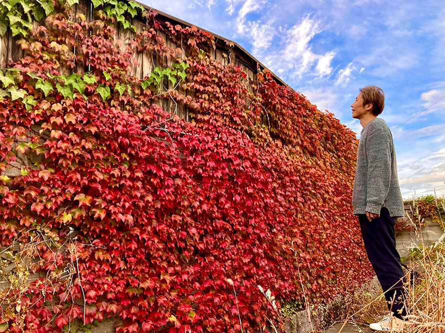 佐氏泉公園の紅葉の壁