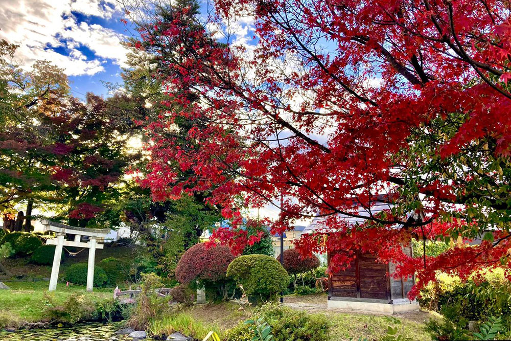 佐氏泉公園の紅葉