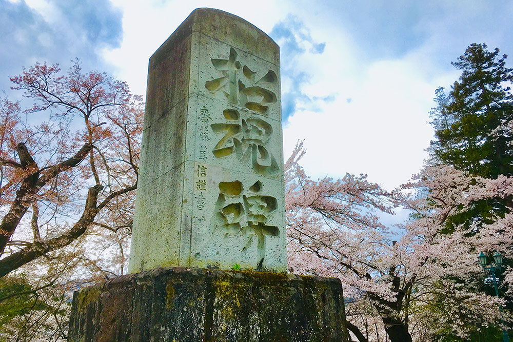 米沢藩の戦死者を祀る上杉神社にある招魂碑と桜