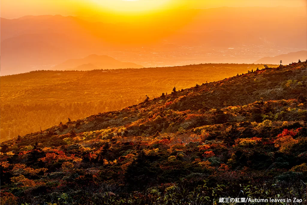 蔵王の紅葉/Autumn leaves in Zao