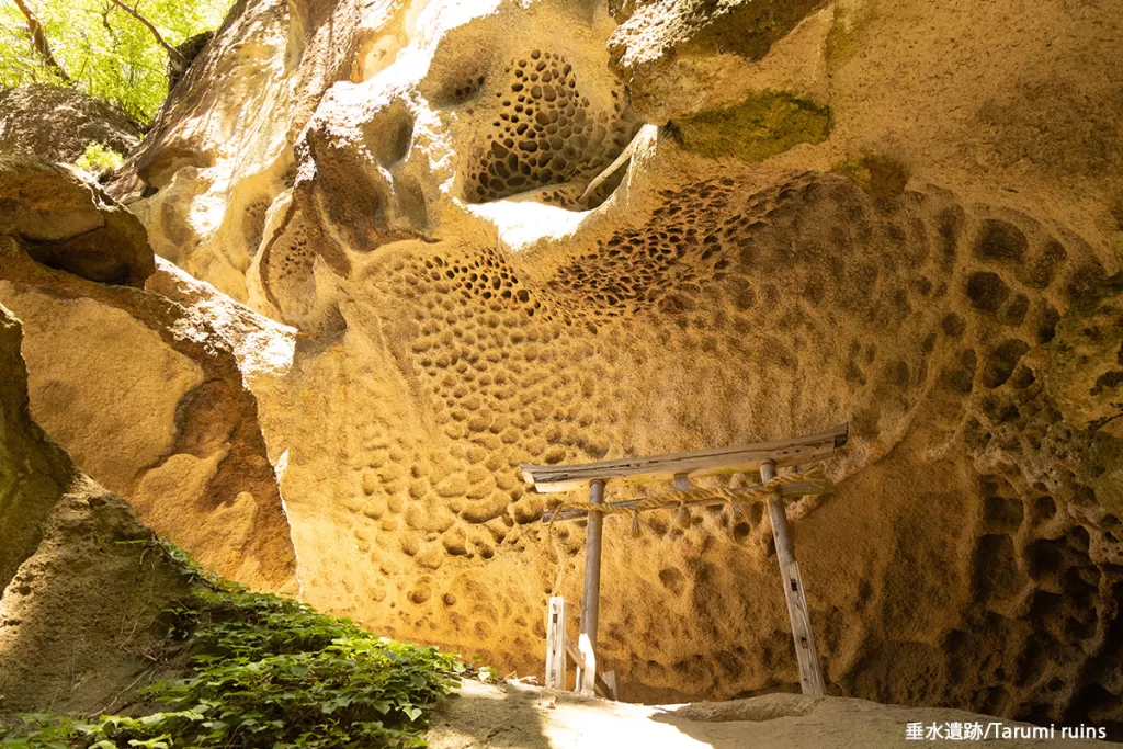 垂水遺跡/Tarumi ruins