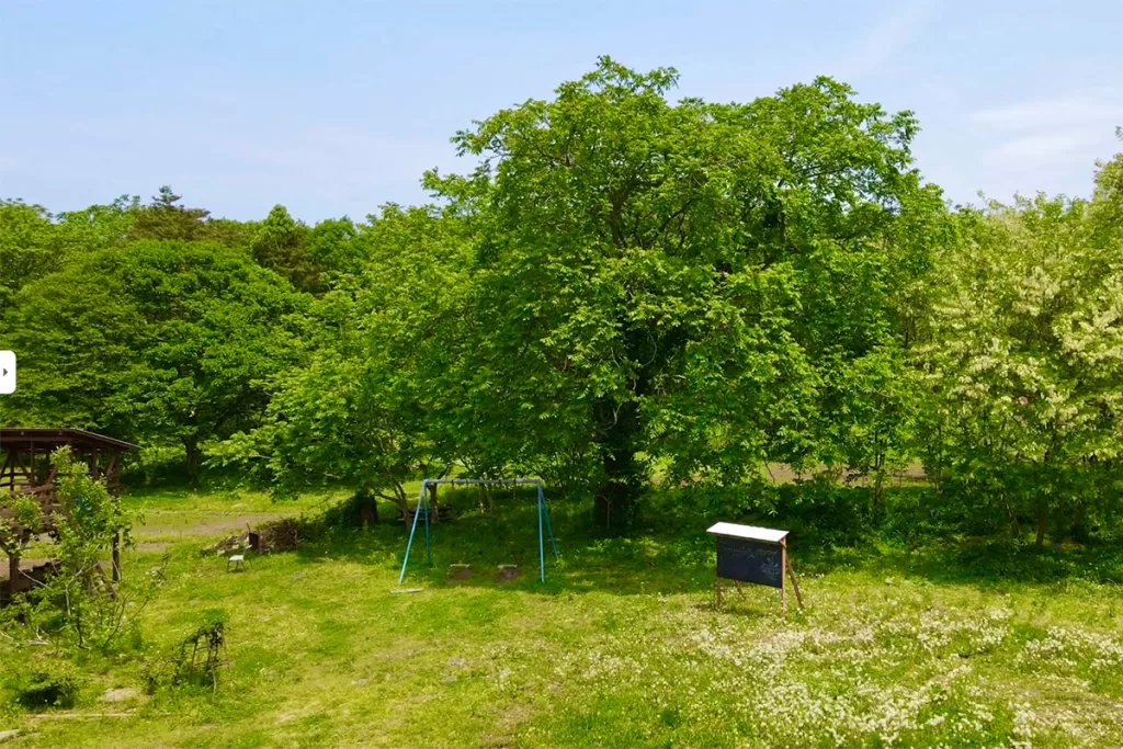 原方の森/ビジョンハウス