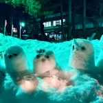 米沢上杉雪灯篭まつり｜小さなスノーモンスターの灯火