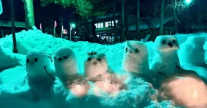 米沢上杉雪灯篭まつり|小さなスノーモンスターの灯火